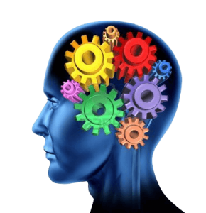 Tanulja meg tőlem a játékszabályokat - Elkötelezetten a pénzügyi intelligencia követítésében